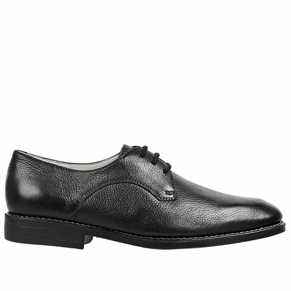 ⬇️NIB Leather Sandro Moscoloni - Regal Derby Shoe - Picture 2 of 10